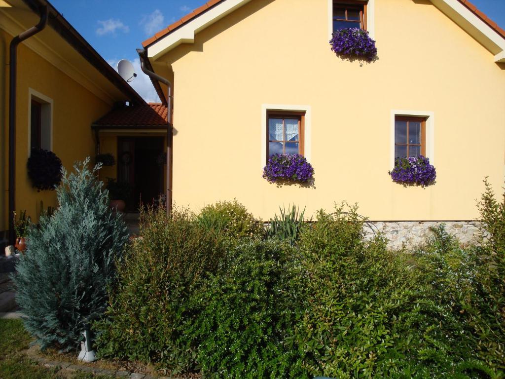 Apartmán Augsten Český Krumlov Kültér fotó